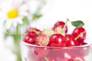 glass cup with cherries and wild strawberries and a bouquet of w