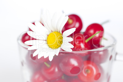 glass cup with cherries and chamomile