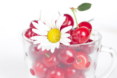 glass cup with cherries and chamomile