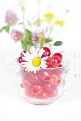 glass cup with cherries and a bouquet of wildflowers