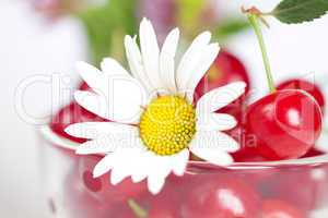 glass cup with cherries and chamomile