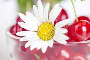 glass cup with cherries and chamomile