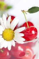 glass cup with cherries and chamomile