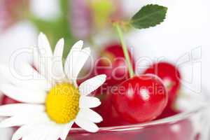 glass cup with cherries and chamomile