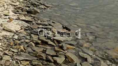 Waves on Rocky Shore