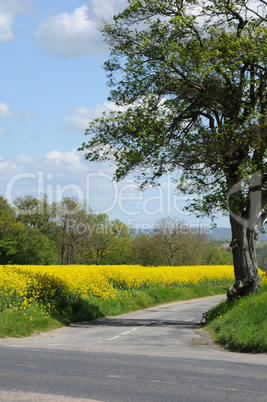 contryside road in Bois Jerome Saint Ouen