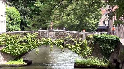 Steinbrücke mit Grünpflanzen