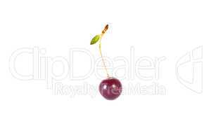 cherry with green leaf on white background