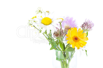 bouquet of wild flowers on a white background