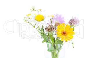 bouquet of wild flowers on a white background