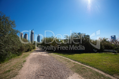 skyscrapers on a background of blue sky and the park