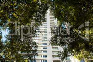 skyscraper on a background of green trees