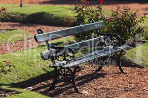 lonely bench in the park on the grass background