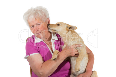 Little dog licking his elderly owner
