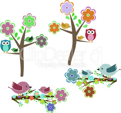 Set of autumn nature elements: owls and birds on branches and oak tree