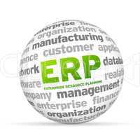 Enterprise Resource Planning