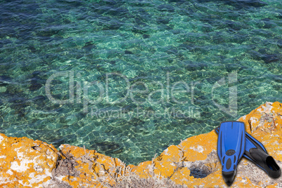Blue flippers on the cliff of sea