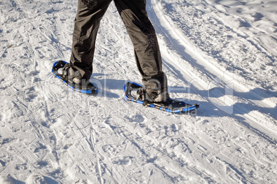 Walking with snow rackets.