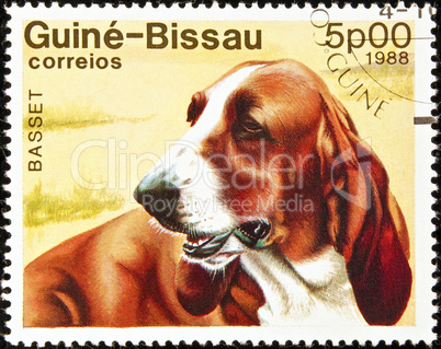 Basset dog stamp.
