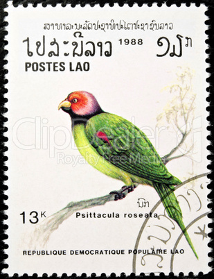 Blossom-headed Parakeet bird stamp.
