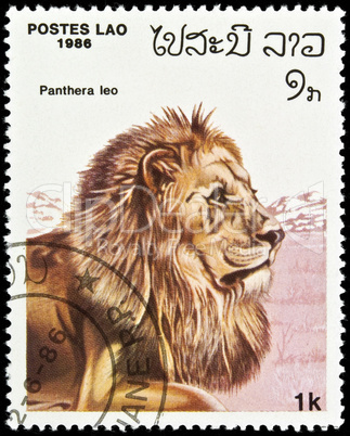 Lion stamp.