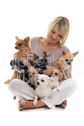 girl and chihuahuas