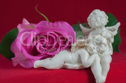 angels and pink rose