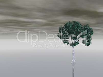 baum