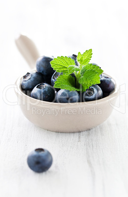 Blaubeeren / blueberries