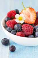 Beerenmischung / mixed berries