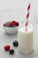 frische Fruchtmilch / fresh fruit milk