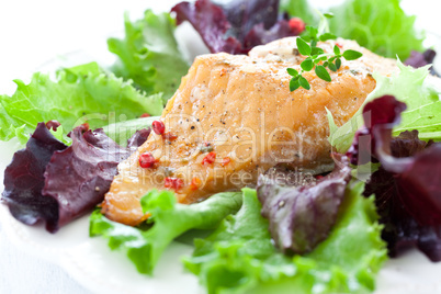 Salat mit Lachs / salad with salmon