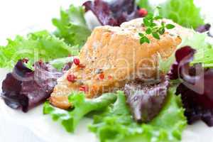 Salat mit Lachs / salad with salmon