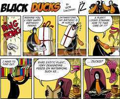 Black Ducks Comics episode 74