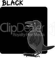 Color Black and Crow Cartoon