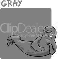 Color Gray and Seal Cartoon