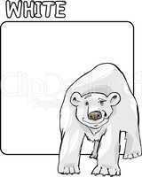 Color White and Polar Bear Cartoon