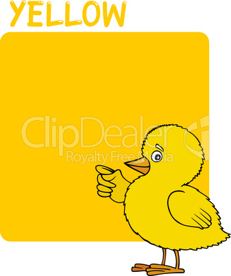 Color Yellow and Chick Cartoon
