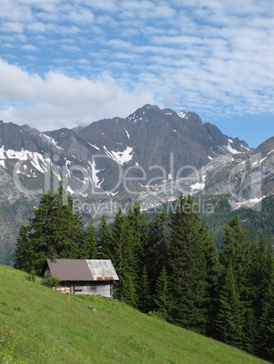 Mountain In The Bernese Oberland