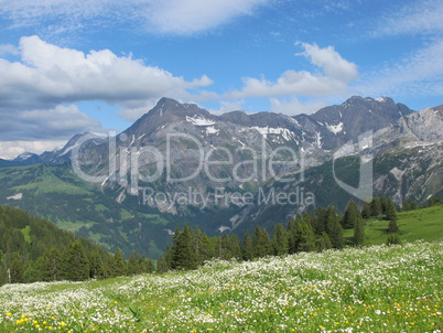 Summer Scene Near Gstaad