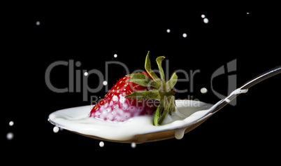 red, ripe strawberry falling in spoon with milk