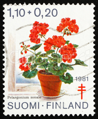 Postage stamp Finland 1981 Geranium, Pelargonium Zonale