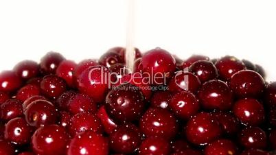 Juicy cherry in water