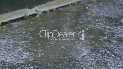 Rain drops rippling in a puddle .closeup