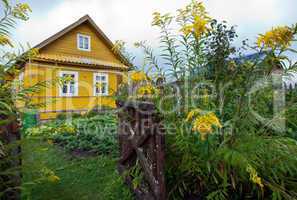 Rural scene with yellow flowers and wooden house