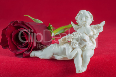 angels with red rose on red background
