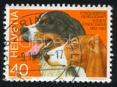 Swiss Kennel Club