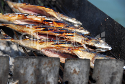 Grilled fish on barbecue