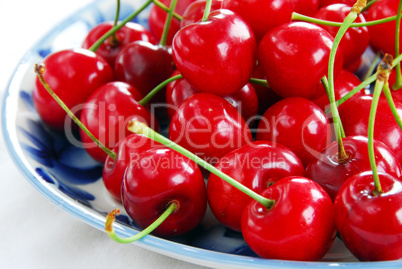 Appetizing red cherries