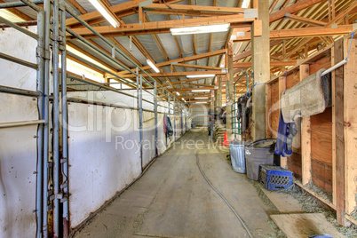 Horse arenam interior with wood beans and stables.